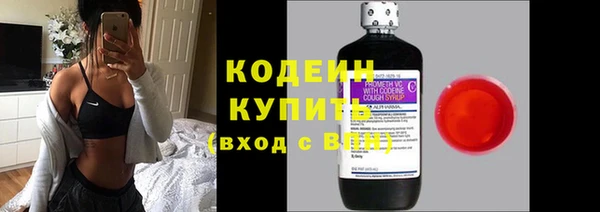 гашик Касимов