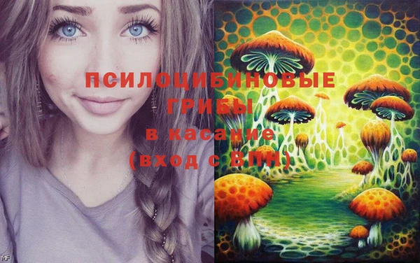 гашик Касимов