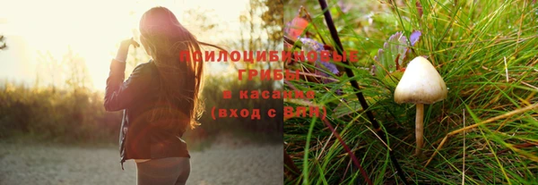 гашик Касимов