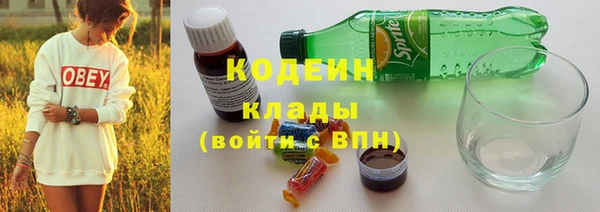 гашик Касимов